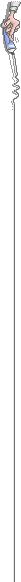 linea