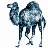 perl